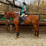 Снижение цены!