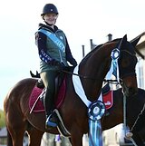 ОПЫТНЫЙ ТУРНИРНЫЙ МЕРИН