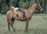 НЕОБЫЧНЫЙ В КОНКУР