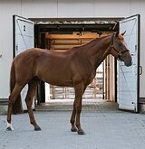 Срочно. Готов к отправке