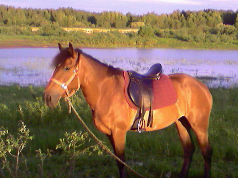 жаль качество подвело