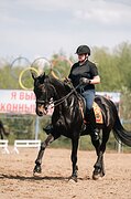 юношеские езды, элементы МП