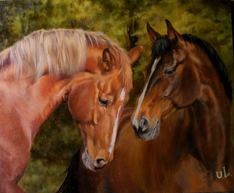 Лошадь с 2 девушками. Пара лошадей. Две лошади. Портрет двух лошадей. Картина "пара лошадей".