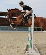 МАРШРУТЫ 100-120, ДЕТСКИЕ ЕЗДЫ,