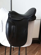 Santa Cruz Roxanne, выездка,17-33