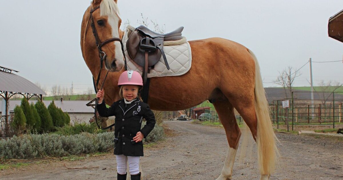 Конный спорт республика