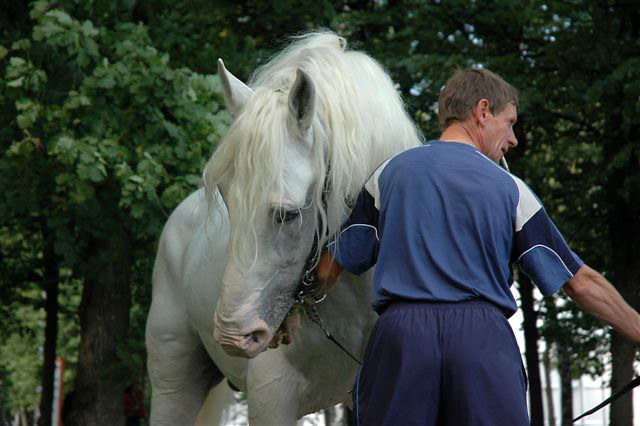 Эквирос 2006