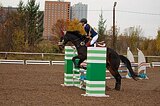 Конкур 110