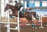 КОБЫЛА В КОНКУР