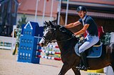 Мерин 2016 гр