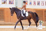 ВЫСОКАЯ КОБЫЛА В ВЫЕЗДКУ