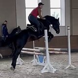 СТАРТОВЫЙ ОПЫТ ДО 110 СМ