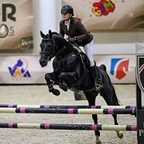 СТАРТОВЫЙ ОПЫТ ДО 110 СМ