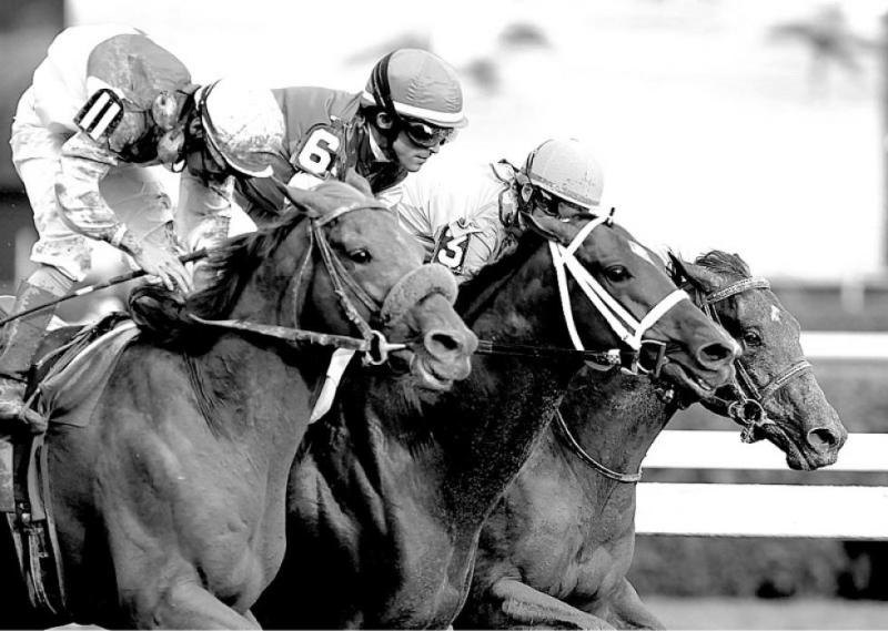 Ипподром Saratoga 2012 год. Скачка Travers Stakes.