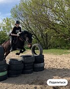 пони-класс в/х132см 2019г.р 