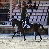 Выездковая кобыла до СП 