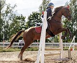 ОПЫТНЫЙ УЧИТЕЛЬ В КОНКУР / В