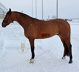 Очень перспективный!