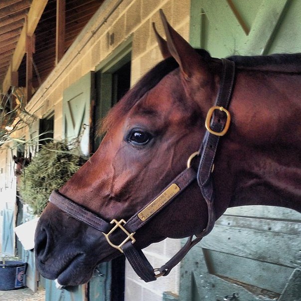 Keeneland