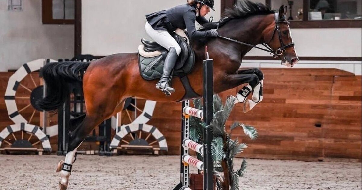 Конный спорт фотографии