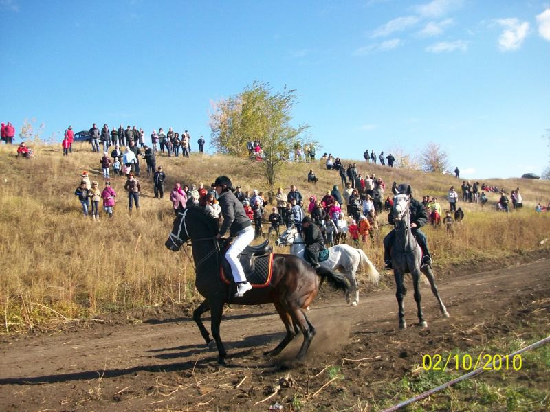 забег Жеребцов