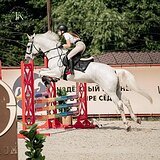 МЕРИН НА МАРШРУТЫ 110-120 СМ