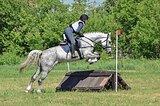 Орловка 1190