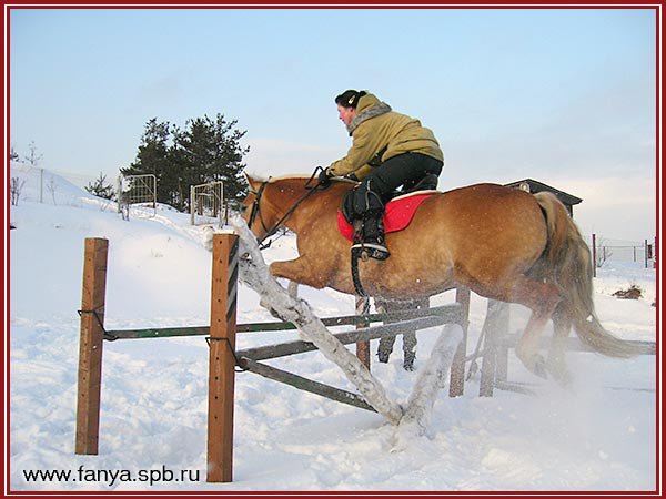 выход из системы