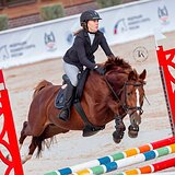 РЫЖИЙ ЖЕРЕБЕЦ 5 ЛЕТ