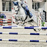 НЕМЕЦКИЙ РАЙД ПОНИ 10 ЛЕТ