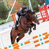 ЖЕРЕБЕЦ НА МАРШРУТЫ ДО 120 СМ