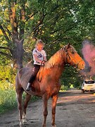 Мерин пони класс