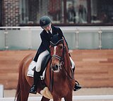 Онлайн тренировки!