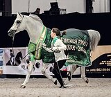 Призер шоу/выставок