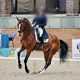 Призер кубка России 