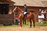 Лорд Вилли