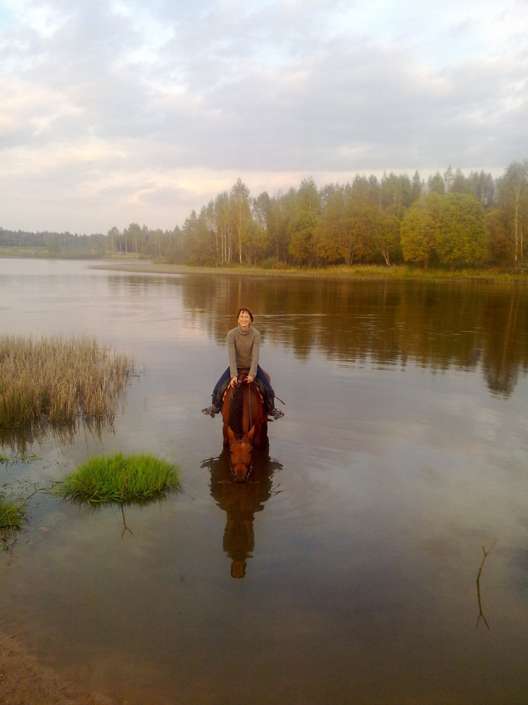 В последних закатных лучах осени