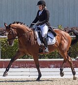 МП, ЭЛЕМЕНТЫ СП, ИМПОРТНЫЙ М