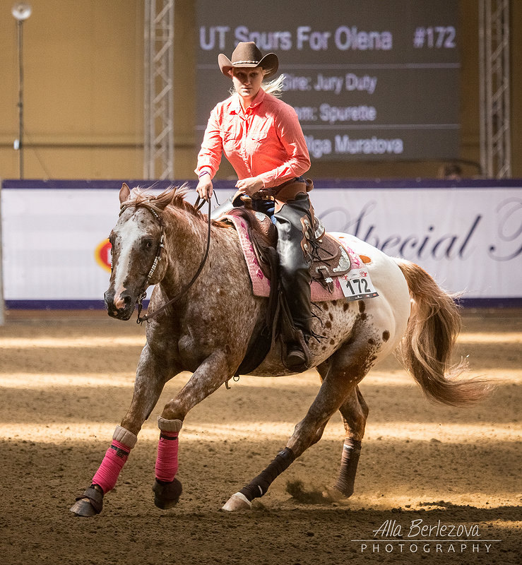 NRHA European Affiliate Championship 2016,  UT Spurs For Olena with his owner Anna Muratova