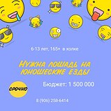 Нужна лошадь на юношеские е