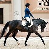 ПЕРСПЕКТИВЕН В ВЫЕЗДКУ