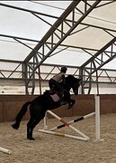 Высокая кобыла 