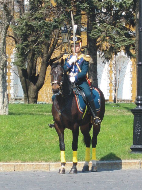 Президентский полк