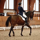 УРОВЕНЬ ЮНОШЕСКИХ ЕЗД