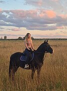 ВОРОНОЙ В КОНКУР / ХОББИ