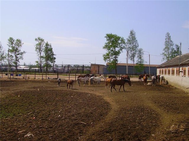 Перед обедом,все кучкуются