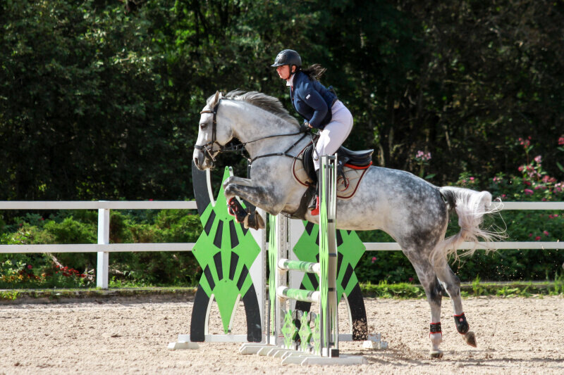 КАЛИФОРНИЯ ДРИМ-15 и Григорьева Евгения