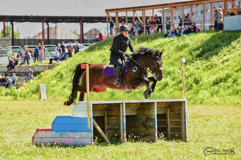 Чемпионат и Первенство Кузбасса по троеборью