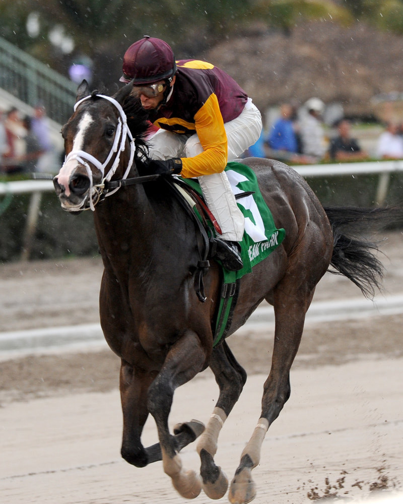 Ипподром Gulfstream Park 2012 год, скачка Forward Gal Stakes