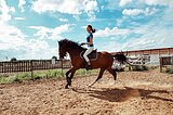 Мерин хобби-класс 